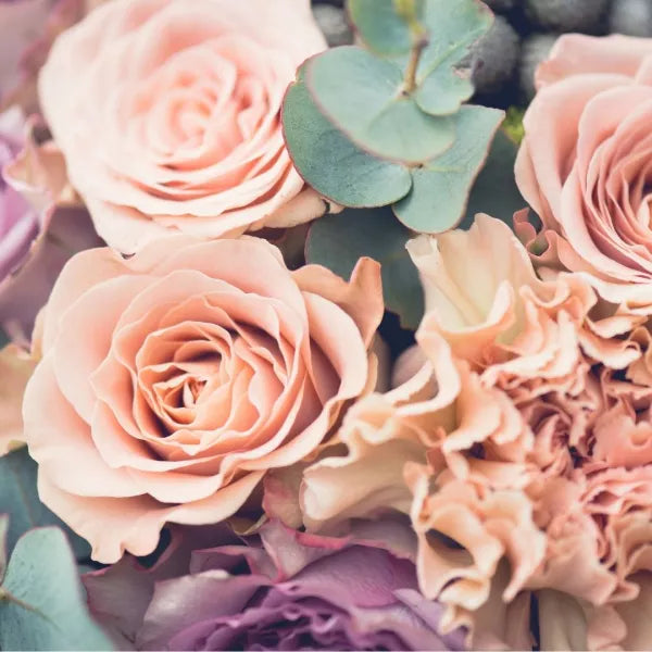 close-up of pink roses and carnations.